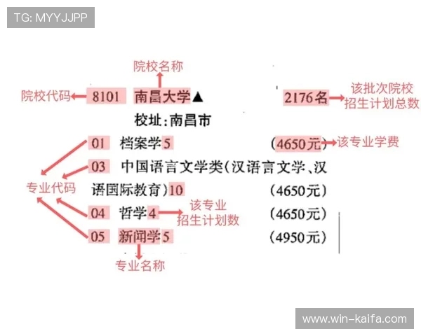 揭秘凯发百家乐中的常见误区,避免初学者的常犯错误 揭秘凯发百家乐中的常见误区,避免初学者的常犯错误