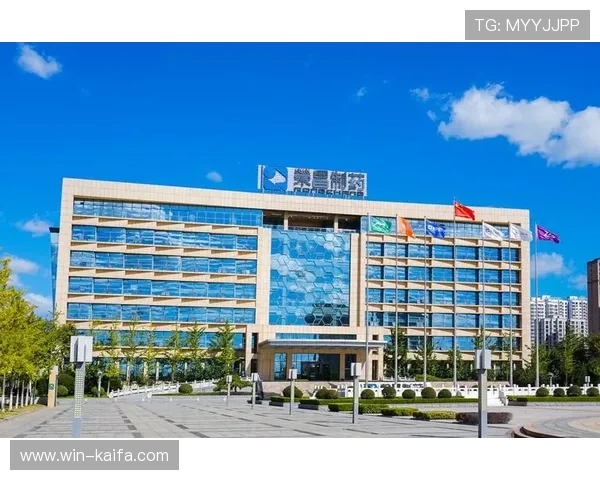 K8凯发注册合作伙伴不断扩大，推动线上娱乐生态系统的健康发展