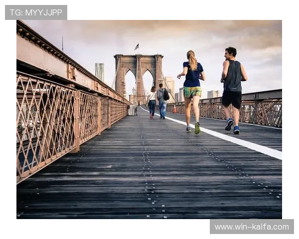 K8体育登录登录线路维护与升级技巧确保体育平台稳定运行